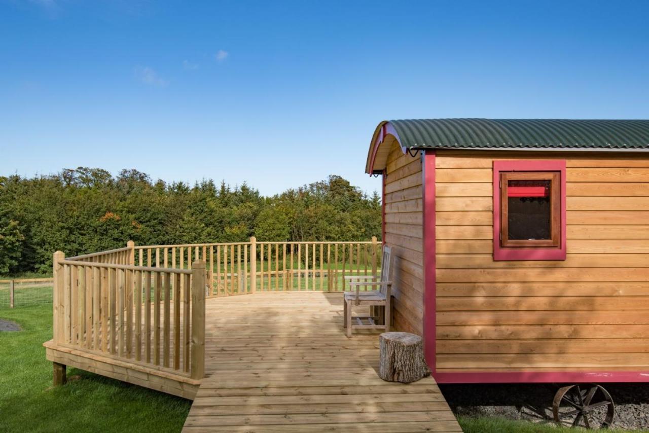 Foxglove Shepherd'S Hut Berwick Upon Tweed Exterior foto